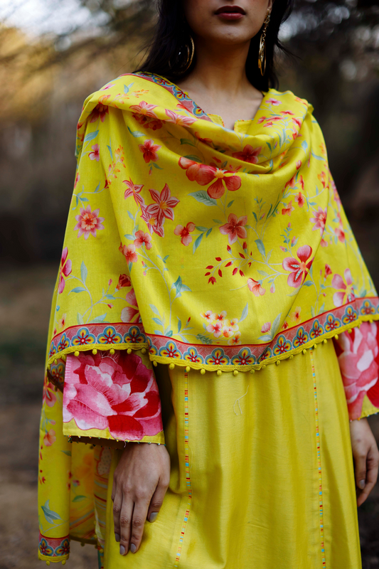 Aafreen Set